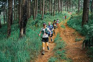 BIB: 
                            <button type="button" onclick="openModal(25663244)" class="btn btn-primary btn-sm float-right btn-popup" data-toggle="modal" data-target=".modal-high-quality">
                        <i class="fas fa-shopping-cart"></i> Add to Cart
                    </button>
                                            <button type="button" onclick="isThisMe(25663244, true)" class="btn btn-success btn-sm float-right btn-popup btn-isme hidden" data-toggle="tooltip" data-placement="bottom" title="นี่คือรูปของคุณใช่ไหม คลิกที่นี่เพื่อเอาเข้าอัลบั้ม">
                        <i class="fas fa-plus"></i> Add to album
                    </button>
                    <button type="button" onclick="isThisMe(25663244, false)" class="btn btn-warning btn-sm float-right btn-popup btn-isnotme hidden">
                        <i class="fas fa-ban"></i> Remove from album
                    </button>